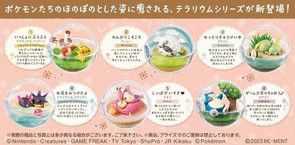 Pokémon – Terrarium Collection Happy Everyday | Boîte Mystère